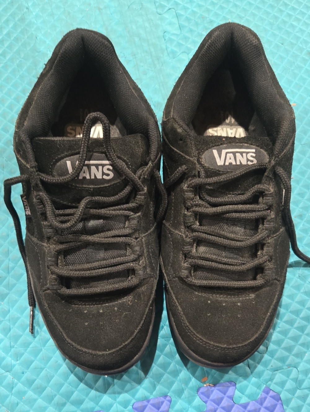 Vans Men’s Black Low-Top Skate Sneakers